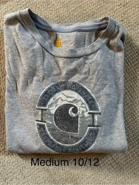 Carhartt Gray Graphic Crewneck Tee with Wave Emblem